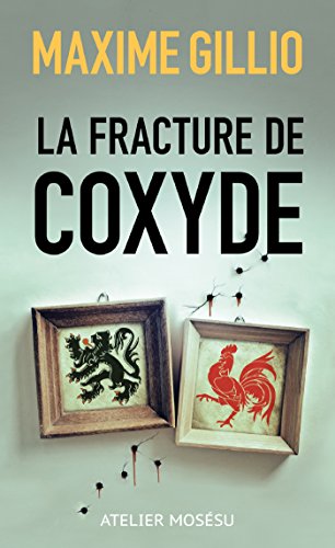 Stock image for LA FRACTURE DE COXYDE for sale by Librairie l'Aspidistra