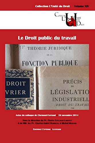 Stock image for Le Droit public du travail for sale by Ammareal