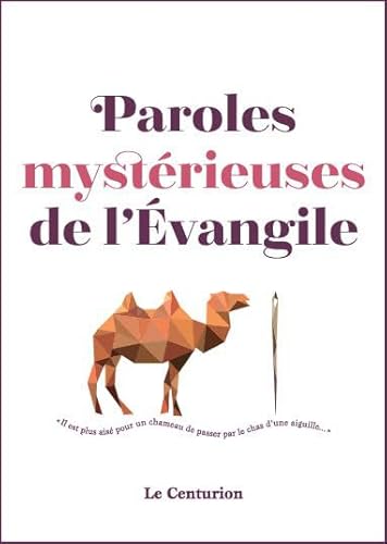 Imagen de archivo de Paroles mystrieuses de l'Evangile a la venta por medimops