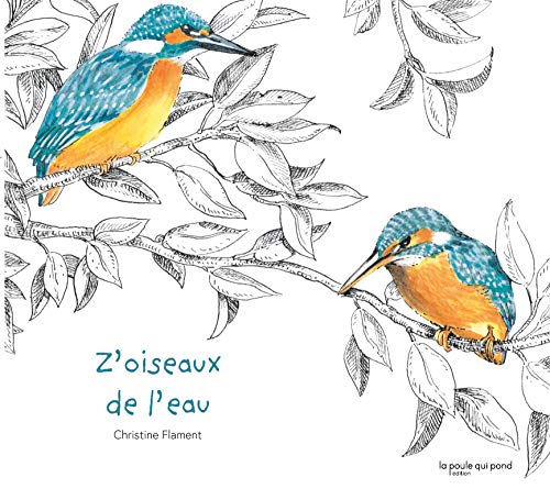 Stock image for Z'oiseaux de l'eau for sale by Librairie Th  la page