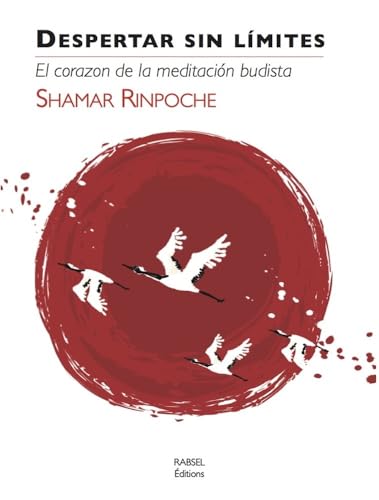 Stock image for Despertar sin lmites : El corazon de la meditacin budista for sale by medimops
