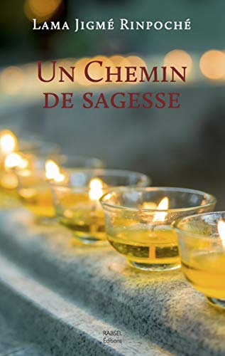 Beispielbild fr Un Chemin De Sagesse - Ne zum Verkauf von Gallix
