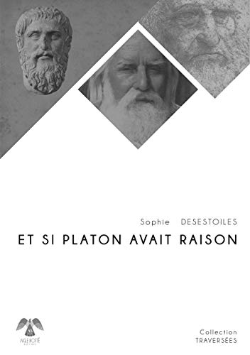 Beispielbild fr Et si Platon avait raison [Reli] Desestoiles, Sophie zum Verkauf von BIBLIO-NET