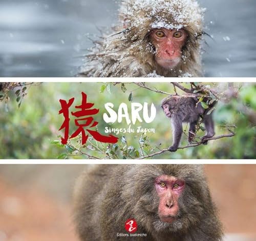 Stock image for Saru - Singes du Japon for sale by e-Libraire
