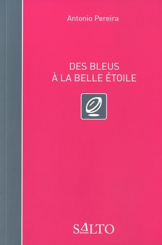 Beispielbild fr Des bleus  la belle toile zum Verkauf von Ammareal