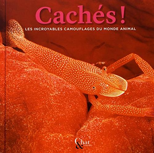 Stock image for Cach ! Les plus tonnants camouflages du monde animal for sale by medimops