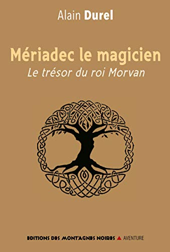Beispielbild fr Meriadec le Magicien - Le trsor du roi Morvan zum Verkauf von Ammareal