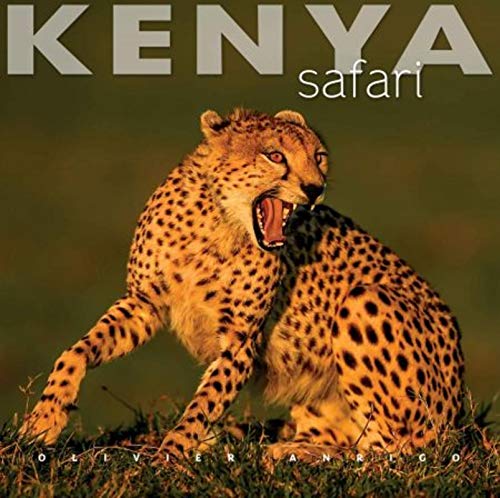 Stock image for Kenya safari for sale by medimops