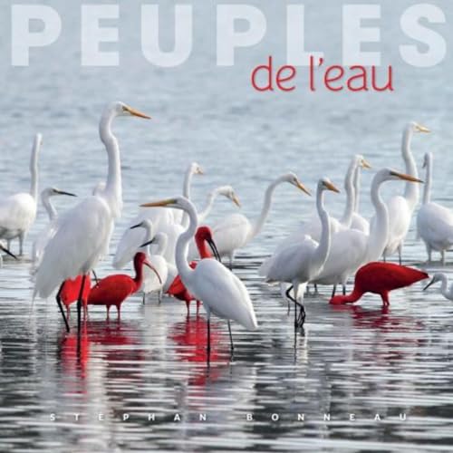 Beispielbild fr Peuples de l'eau zum Verkauf von Gallix