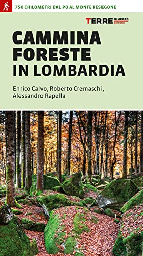 Beispielbild fr CamminaForeste in Lombardia 750 chilometri dal Po al monte Resegone (Percorsi) zum Verkauf von libreriauniversitaria.it
