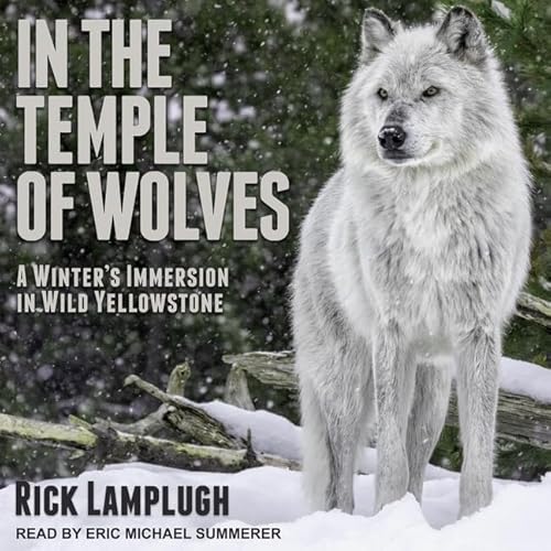 Stock image for In the Temple of Wolves: A Winter's Immersion in Wild Yellowstone for sale by Half Price Books Inc.