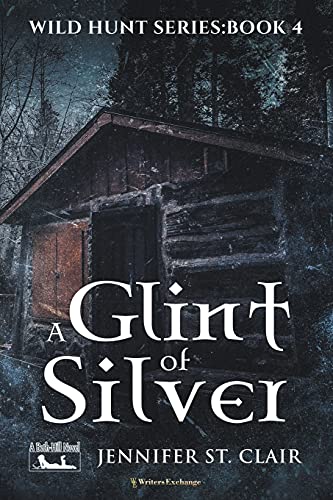 9798201669188: A Glint of Silver (4) (A Beth-Hill Novel: Wild Hunt)