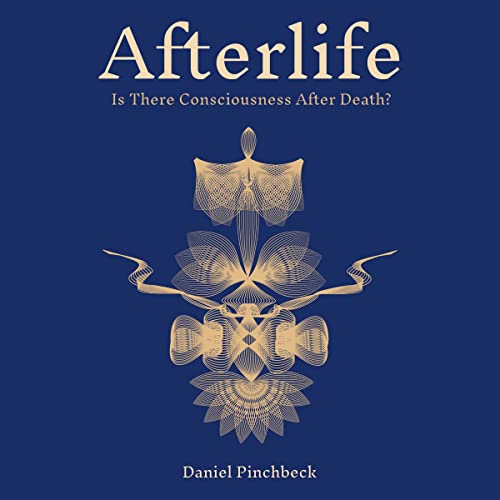 Stock image for Afterlife : Is There Consciousness After Death? for sale by GreatBookPrices