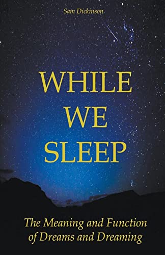 Beispielbild fr While we Sleep The Meaning and Function of Dreams and Dreaming zum Verkauf von GreatBookPrices