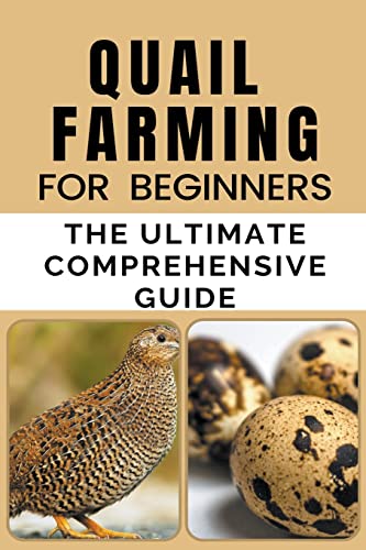 

Quail Farming For Beginners (Paperback)
