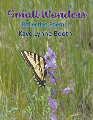 Stock image for Small Wonders for sale by Ria Christie Collections