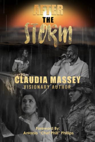 Imagen de archivo de After the Storm a la venta por PBShop.store US