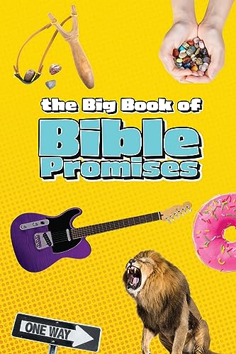 Stock image for The Big Book of Bible Promises for sale by GreatBookPrices