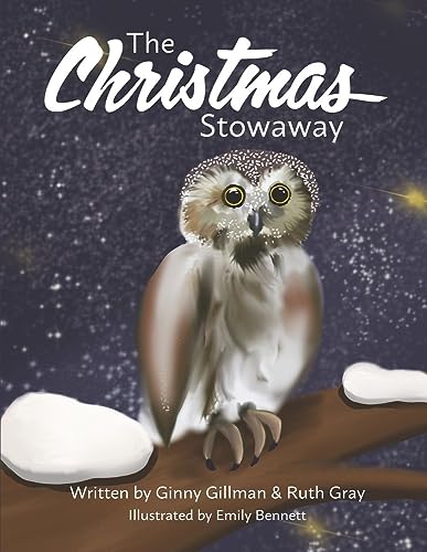 Beispielbild fr The Christmas Stowaway zum Verkauf von Blackwell's