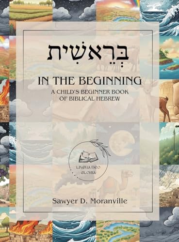 Imagen de archivo de In the Beginning: A Child's Beginner Book of Biblical Hebrew a la venta por GreatBookPrices