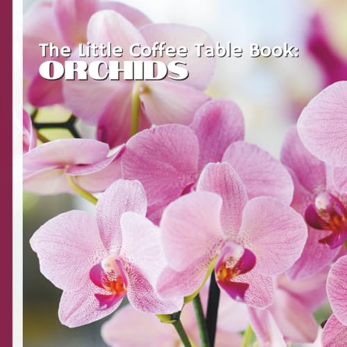 Immagine stock per The Little Coffee Table Book: Orchids: From their ancient origins and remarkable diversity to their symbolism across cultures, this book is designed ... peaceful moments, and beautiful display.
