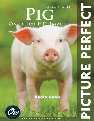 9798304326230: Pig: Picture Perfect Photo Book
