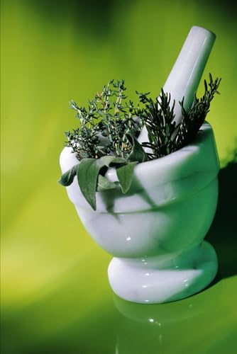 Stock image for Psychology Book for sale by Ria Christie Collections