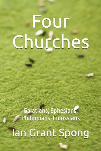 Stock image for Four Churches (Paperback) for sale by Grand Eagle Retail