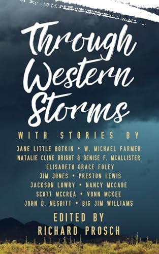 Beispielbild fr Through Western Storms zum Verkauf von Ria Christie Collections
