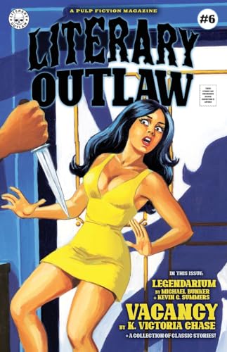 Beispielbild fr Literary Outlaw #6: Vacancy zum Verkauf von Ria Christie Collections