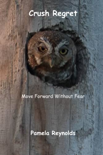 Stock image for Crush Regret: Move Forward Without Fear for sale by Chiron Media