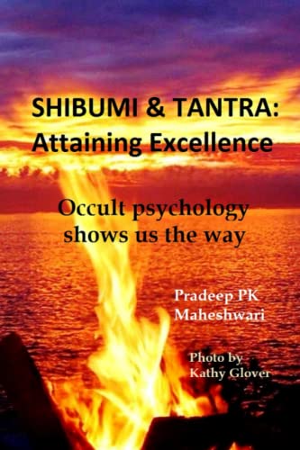 Beispielbild fr Shibumi & Tantra: Attaining Excellence: Occult Psychology shows us the Way. zum Verkauf von Buchpark