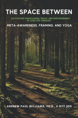 Stock image for The Space Between : Cultivating Mindfulness, Peace, and Empowerment in Your Life Through Meta-Awareness, Framing, and Yoga for sale by Better World Books