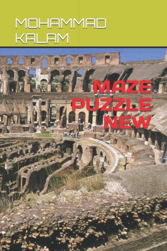 Stock image for Maze Puzzle New for sale by PBShop.store US