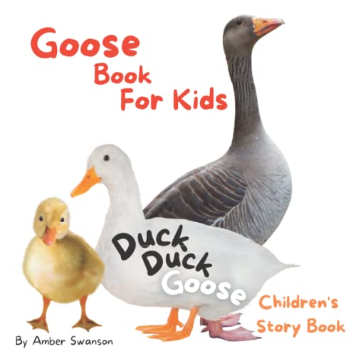 Beispielbild fr Duck Duck Goose Children's Story Book : Goose Book for Kids zum Verkauf von Better World Books