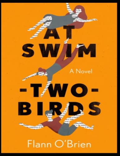 Imagen de archivo de At Swim-Two-Birds a la venta por Better World Books