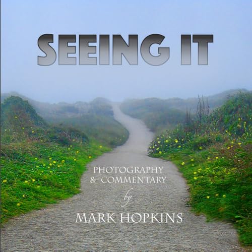 Imagen de archivo de Seeing It: Photography & Commentary a la venta por More Than Words