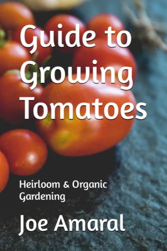 Imagen de archivo de Guide to Growing Tomatoes: Heirloom & Organic Gardening a la venta por GreatBookPrices