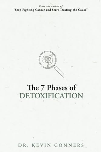 Beispielbild fr The 7 Phases of Detoxification: What You Must Know Before Your Next Detox zum Verkauf von GreatBookPrices