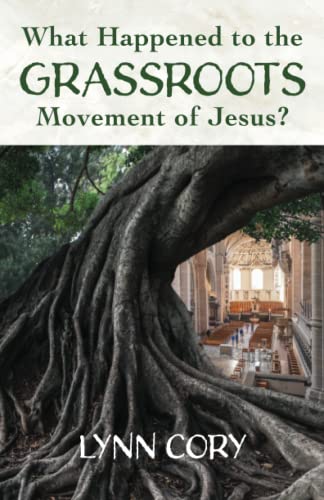 Stock image for What Happened to the Grassroots Movement of Jesus? for sale by PBShop.store US