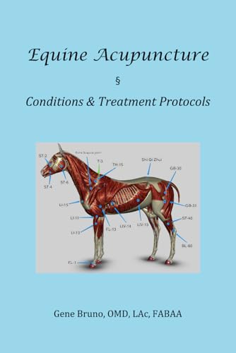 9798377942634: Equine Acupuncture - Conditions & Treatment Protocols