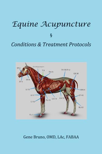 Stock image for Equine Acupuncture - Conditions & Treatment Protocols for sale by GreatBookPrices