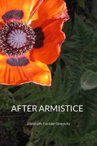 Stock image for After Armistice for sale by PBShop.store US