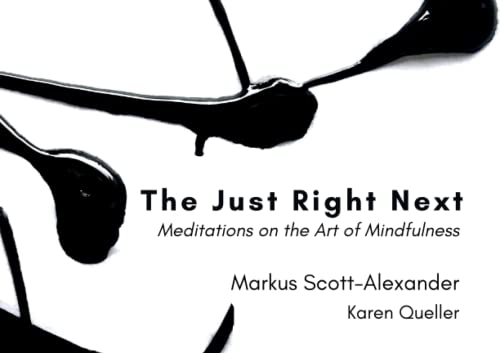 Stock image for The Just Right Next: Meditations on the Art of Mindfulness for sale by HPB-Diamond