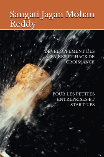 Stock image for D?veloppement Des Affaires Et Hack de Croissance Pour Les Petites Entreprises Et Start-Ups for sale by PBShop.store US