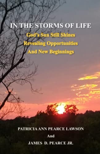 Beispielbild fr IN THE STORMS OF LIFE: God's Sun Still Shines Revealing Opportunties and New Beginnings zum Verkauf von Ria Christie Collections