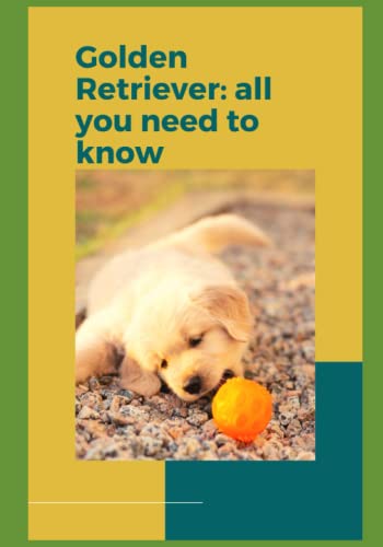 Stock image for Golden Retriever for sale by PBShop.store US