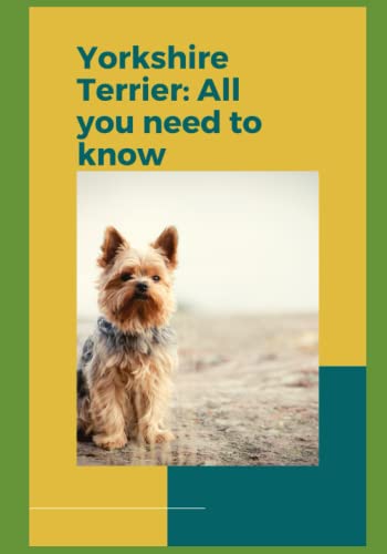 Stock image for Yorkshire Terrier: All you need to know! for sale by GreatBookPrices