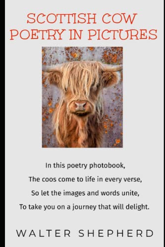 Imagen de archivo de Scottish Cow Poetry in Pictures a la venta por PBShop.store US