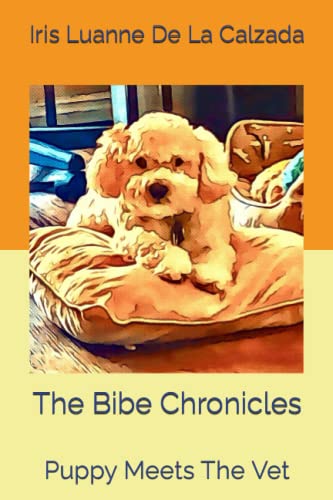 Imagen de archivo de The Bibe Chronicles a la venta por PBShop.store US